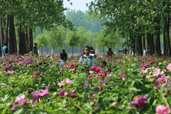 （菏澤市東明黃河森林公園。圖片來源：菏澤市攝影家協(xié)會）